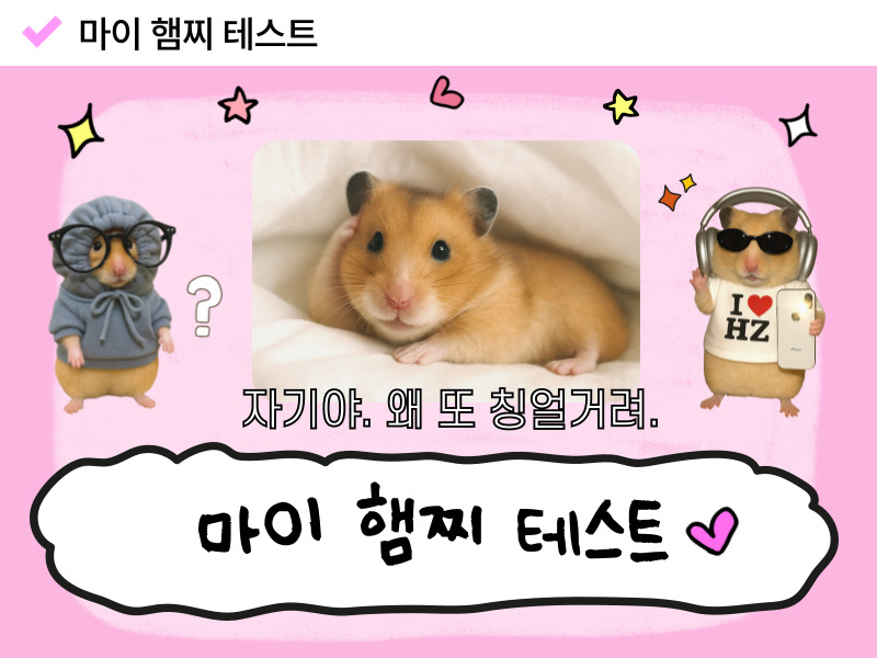 마이햄찌테스트